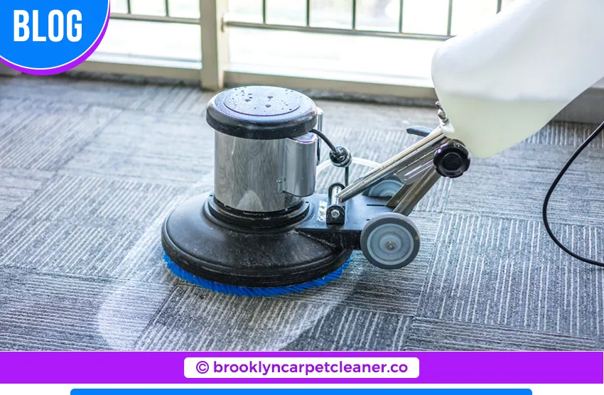 carpet cleaning in brooklyn, carpet cleaning in new york, carpet cleaning brooklyn, carpet cleaners in brooklyn, carpet cleaners in new york, commercial carpet cleaning, commercial carpet cleaning in brooklyn, brooklyn rug cleaners, rug cleaning services in brooklyn, same day carpet cleaning, same day rug cleaning