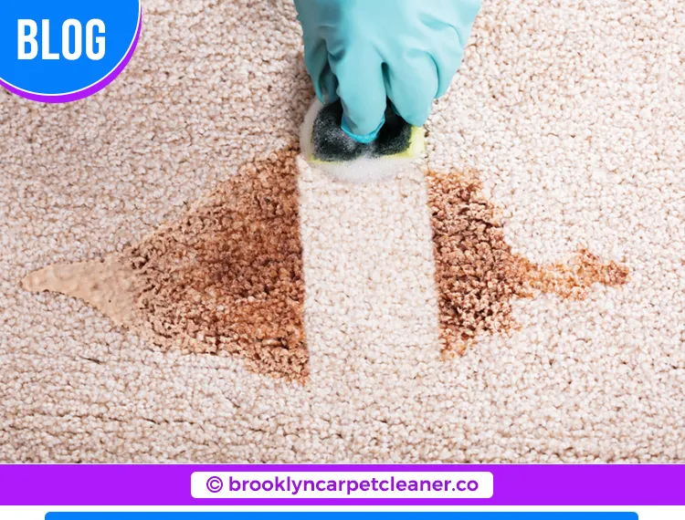 carpet cleaning in brooklyn, carpet cleaning in Brooklyn, carpet cleaning brooklyn, carpet cleaners in brooklyn, carpet cleaners in Brooklyn, commercial carpet cleaning, commercial carpet cleaning in brooklyn, brooklyn rug cleaners, rug cleaning services in brooklyn, same day carpet cleaning, same day rug cleaning